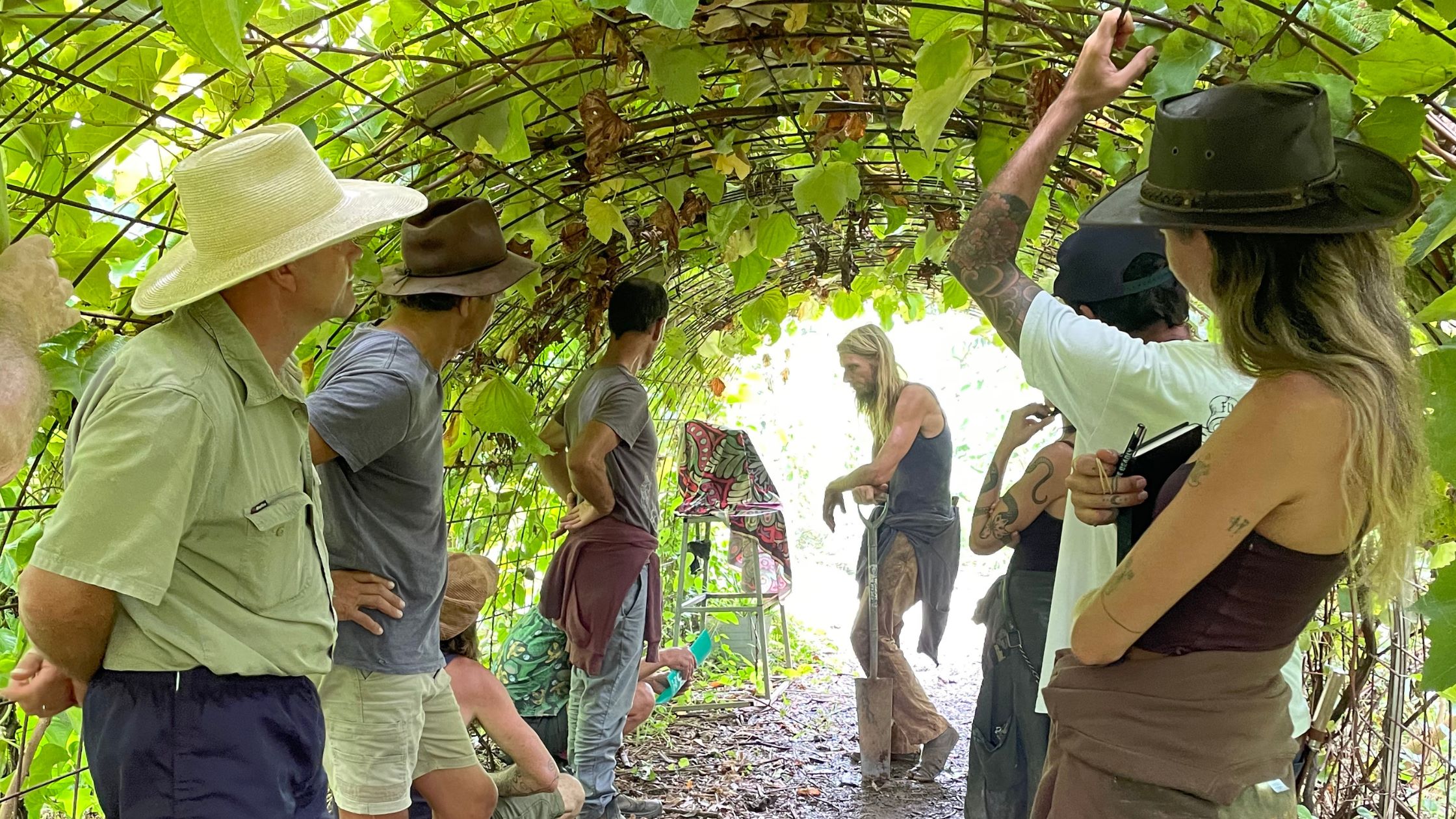 Unleashing the Green Revolution: How Food Forests and Permaculture Are Transforming Farming in Fiji