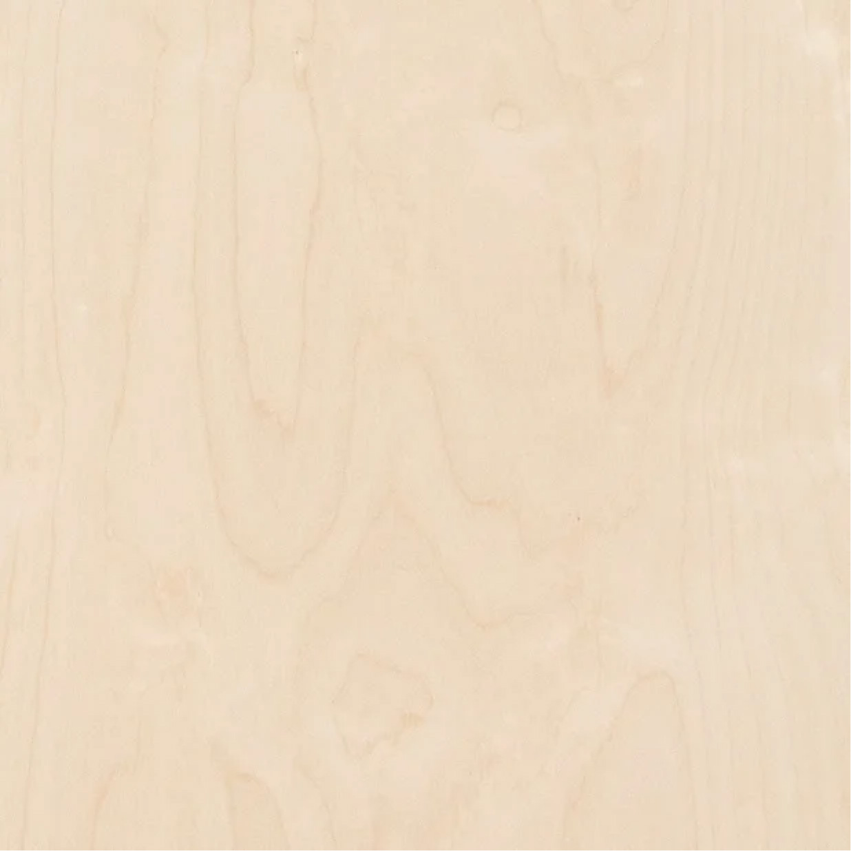 European Birch Veneer