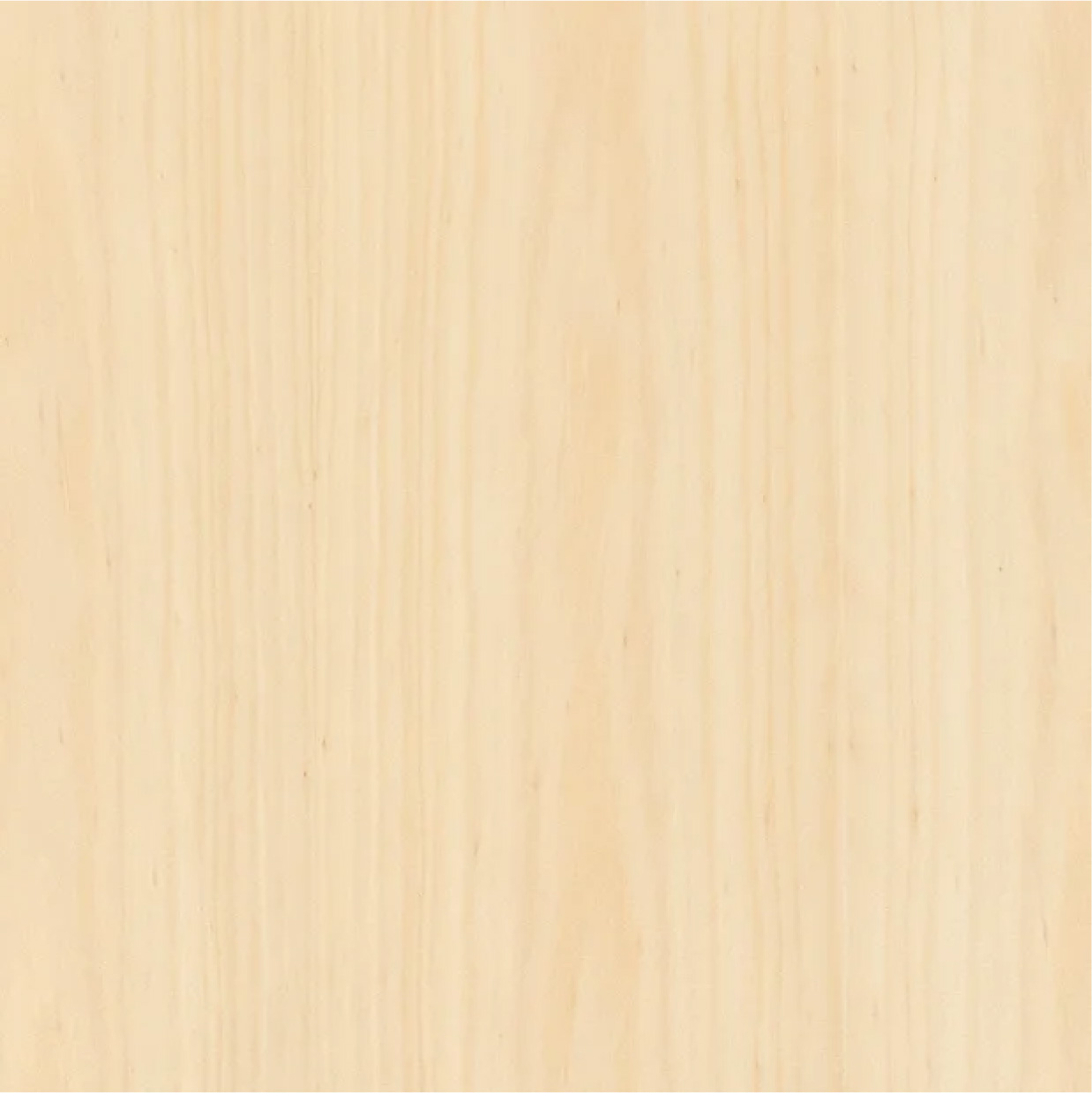 Hoop Pine Veneer