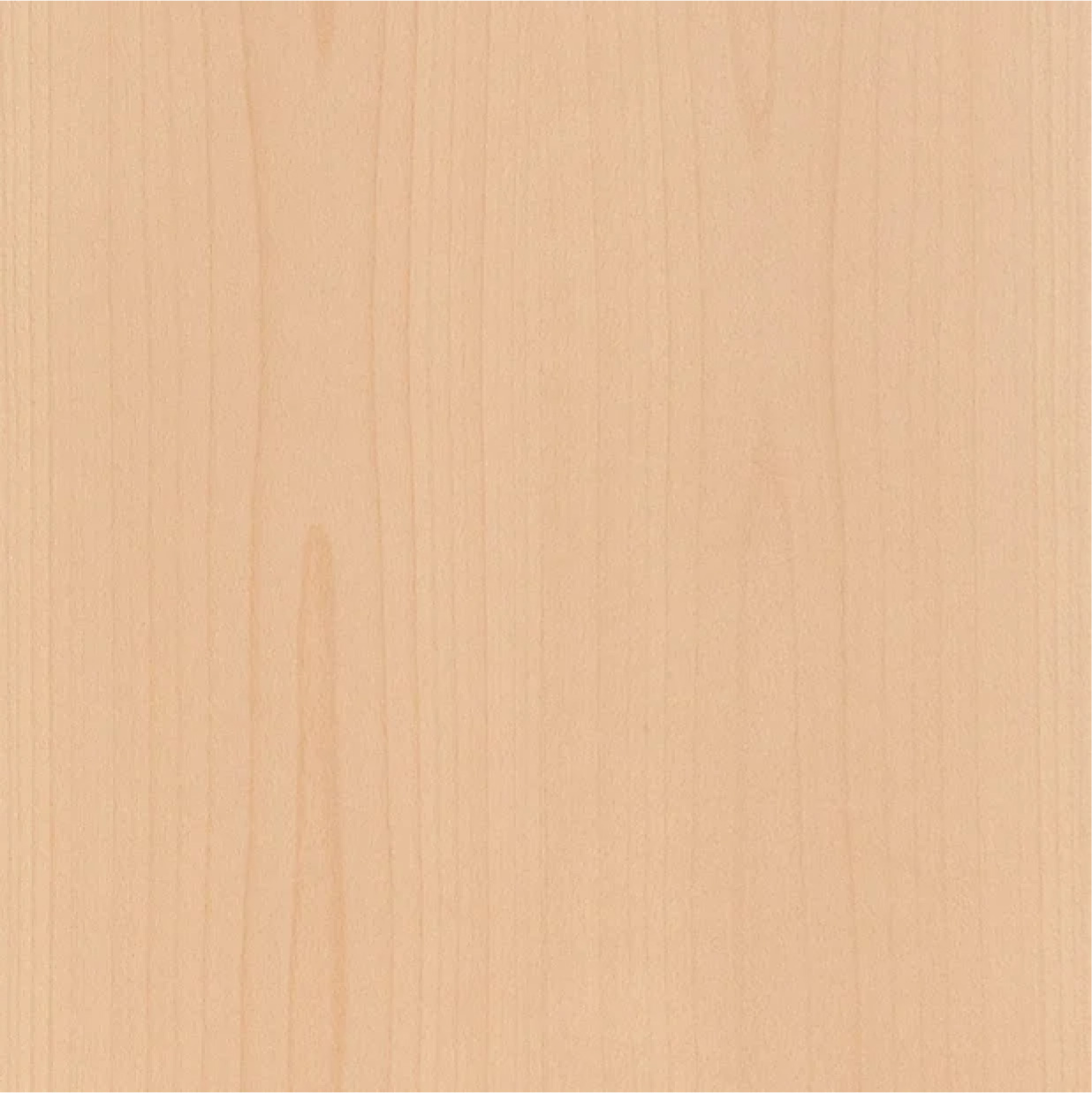 European Beech Veneer