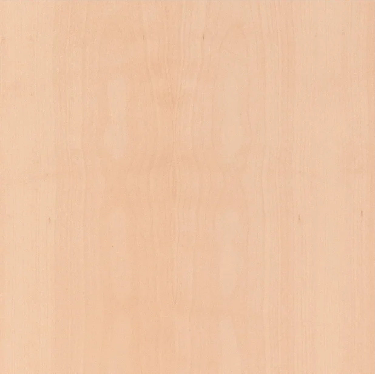 Southland Beech Veneer