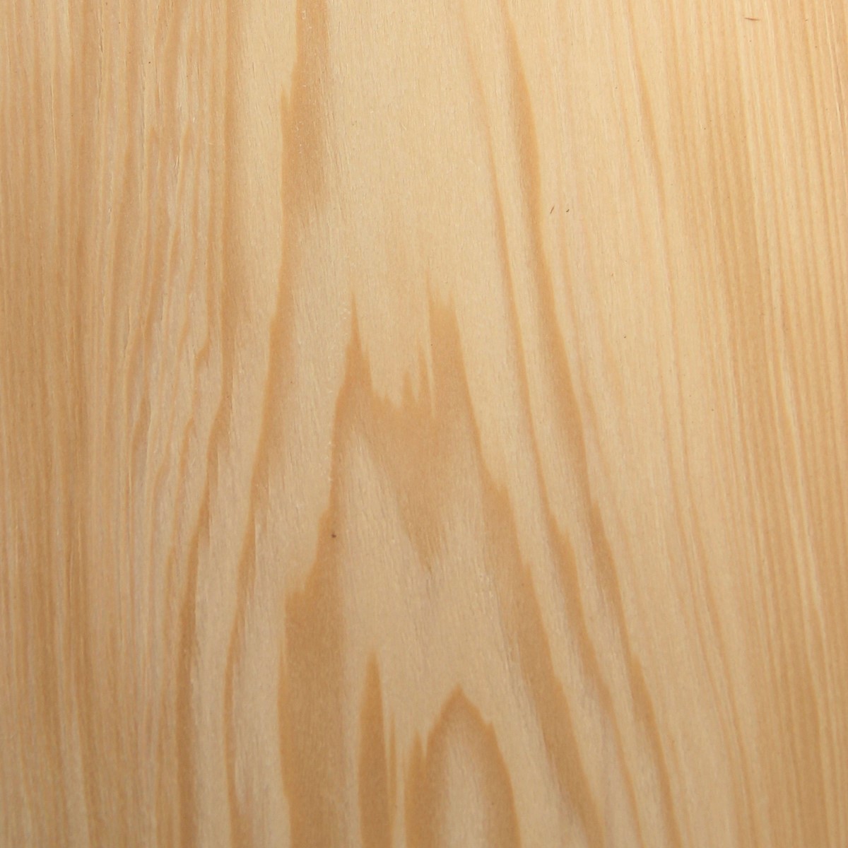 Celery-top Pine Veneer