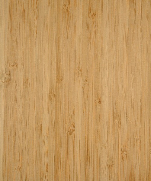 Bamboo Veneer