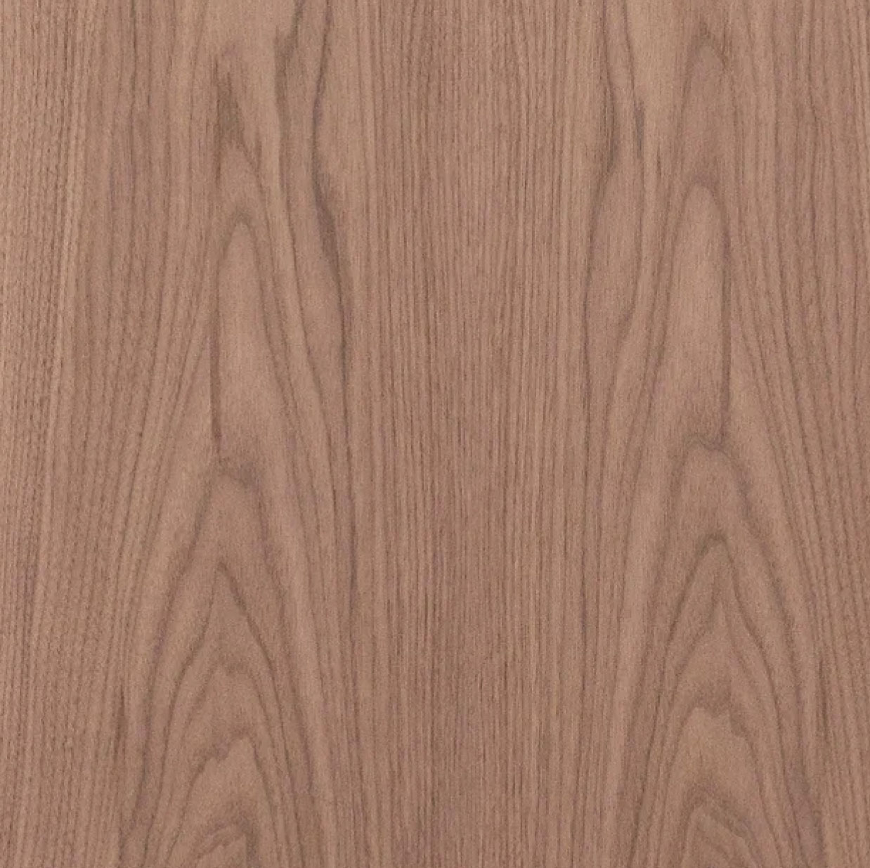 Walnut Veneer