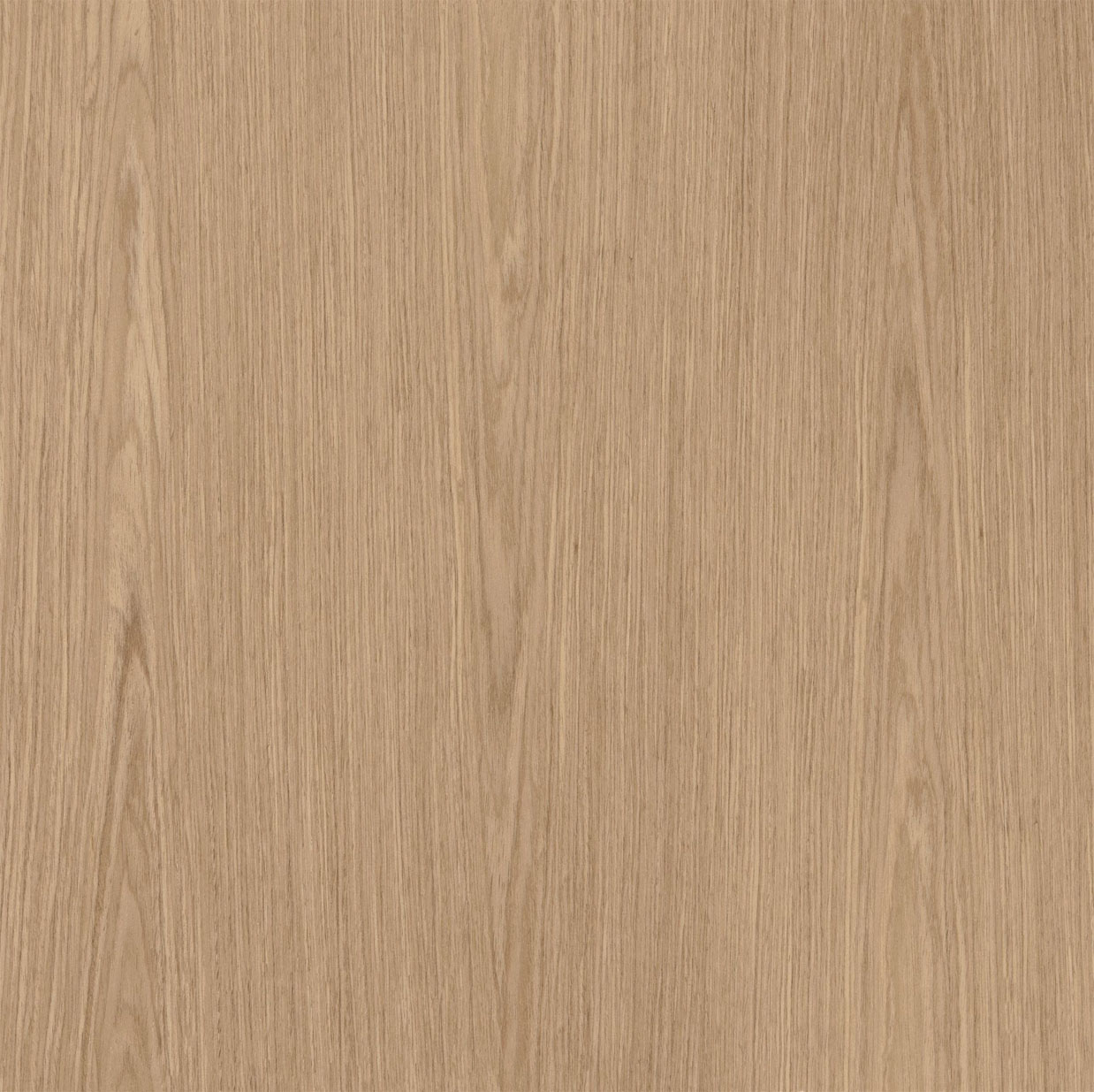 Biscotti Veneer