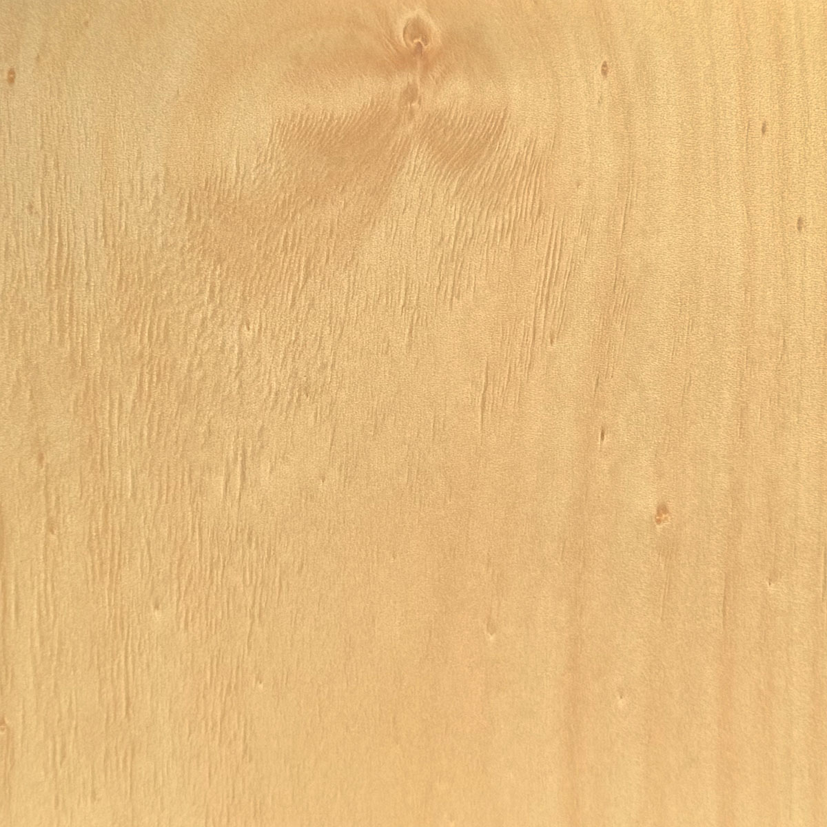 Hoop Pine Plywood