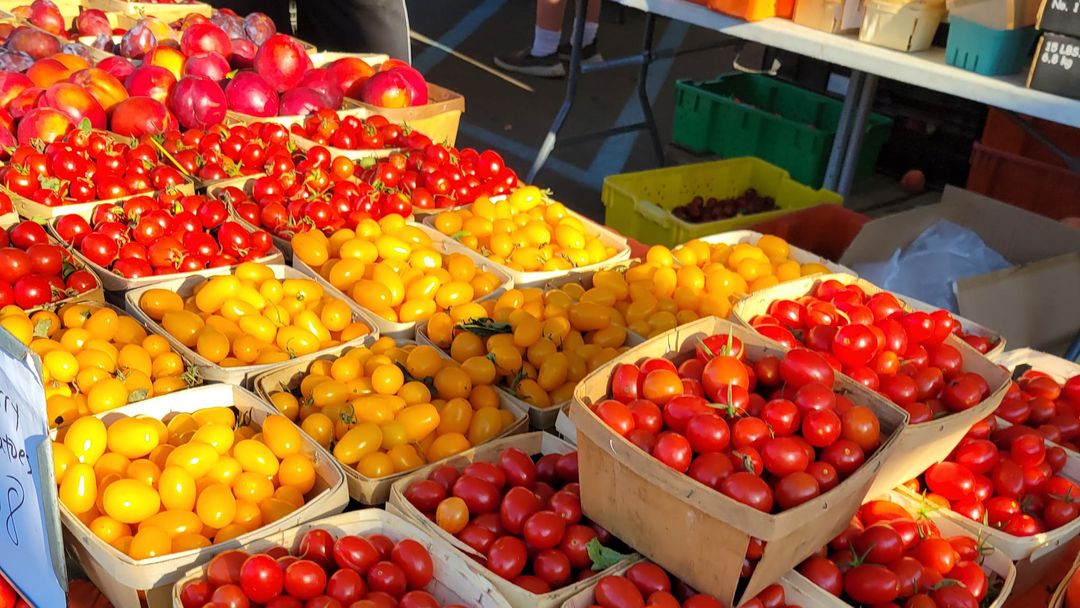 Downtown Brighton Events