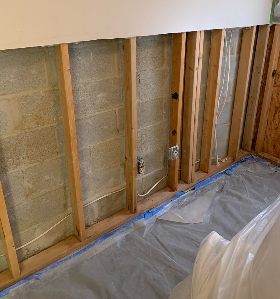5 Essential Steps for Effective Mold Removal Top Shelf Mold Removal
