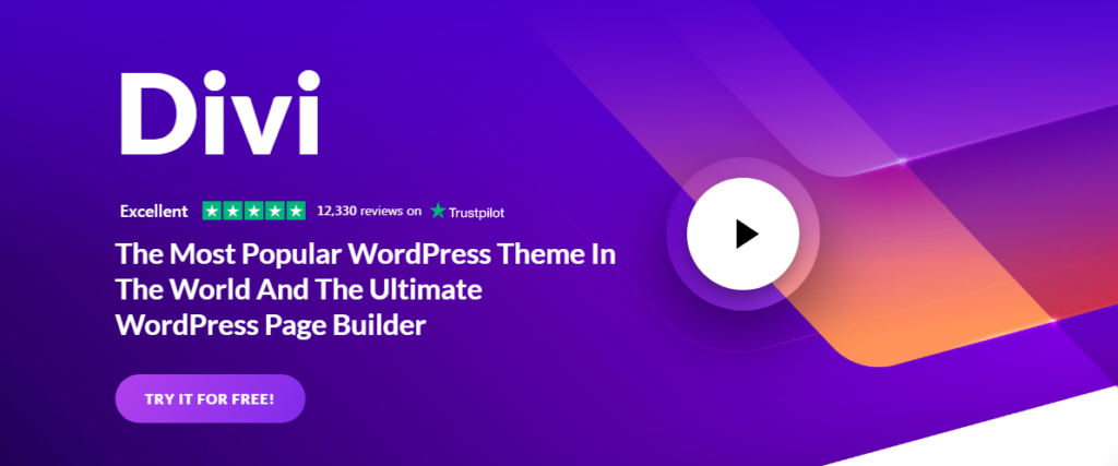 DIVI WP Theme