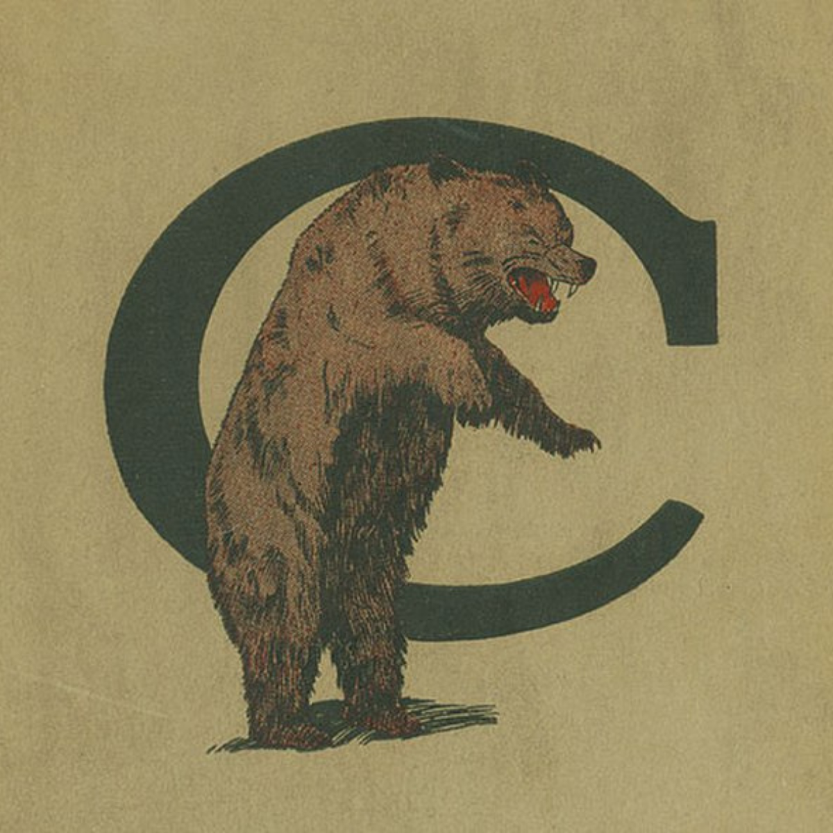 What Exactly is a Bearcat, the Mascot of the University of Cincinnati
