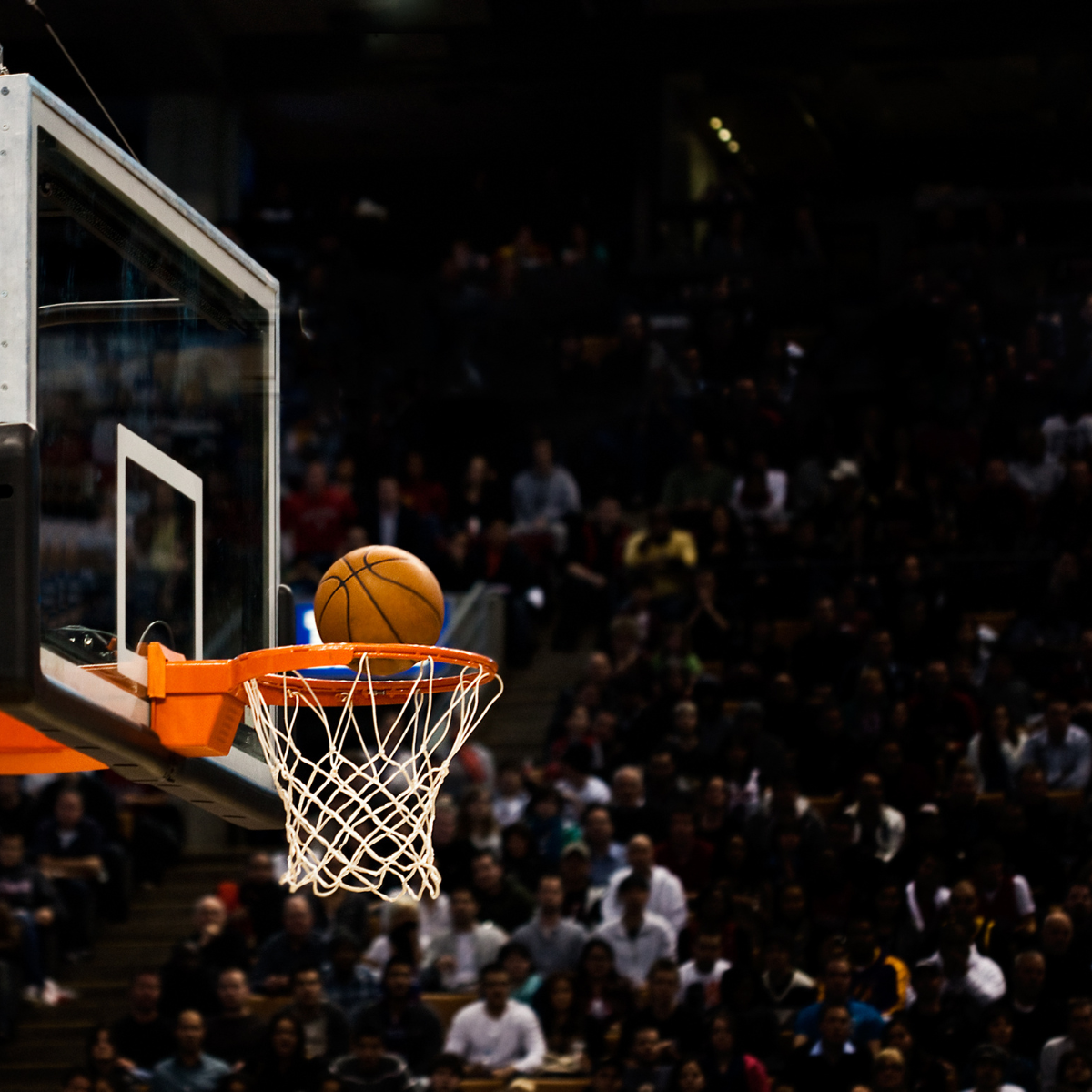 The 2024 WNBA Season is Shaping Up to Be One of the Most Exciting Yet