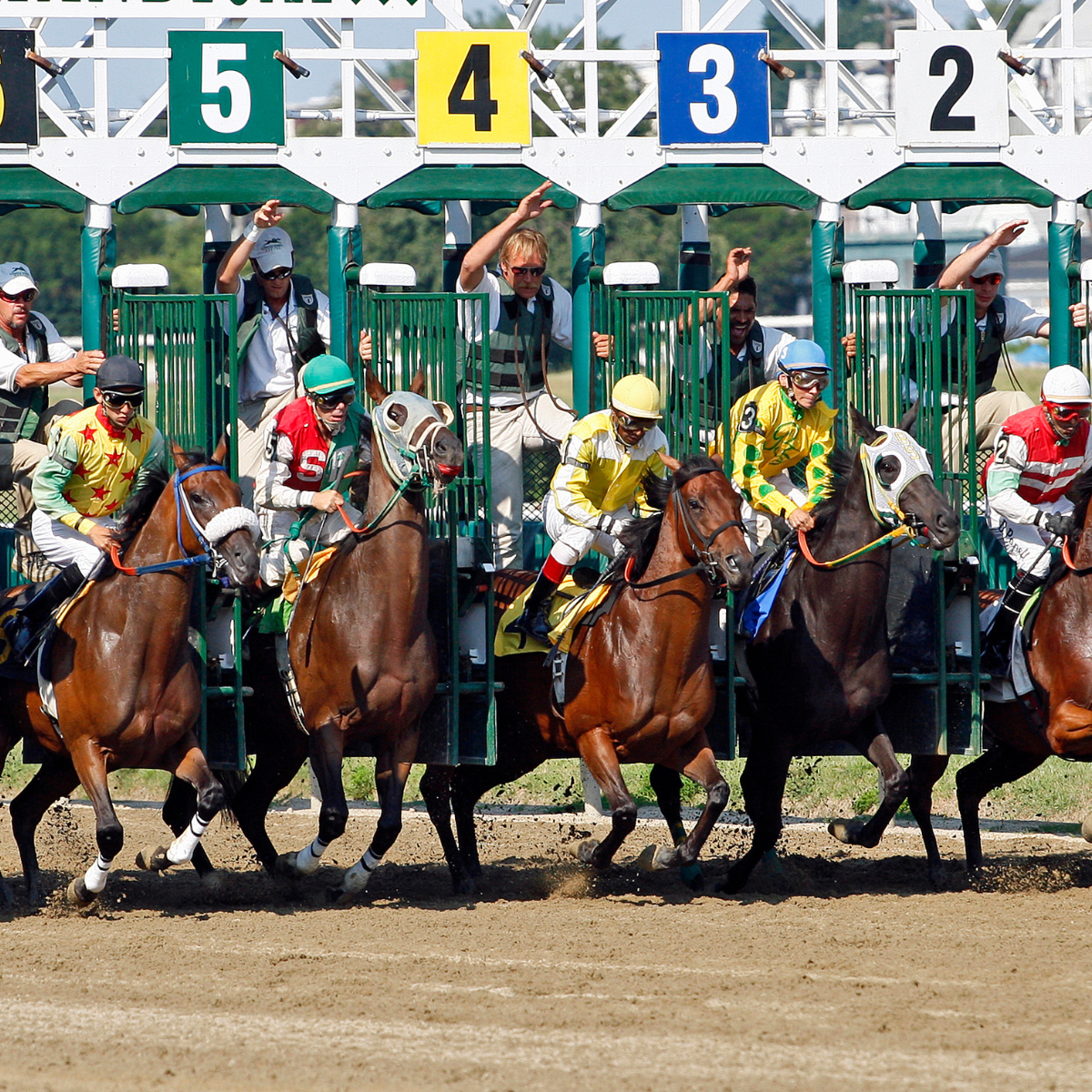 How to Bet on Horse Racing: A Beginner's Guide