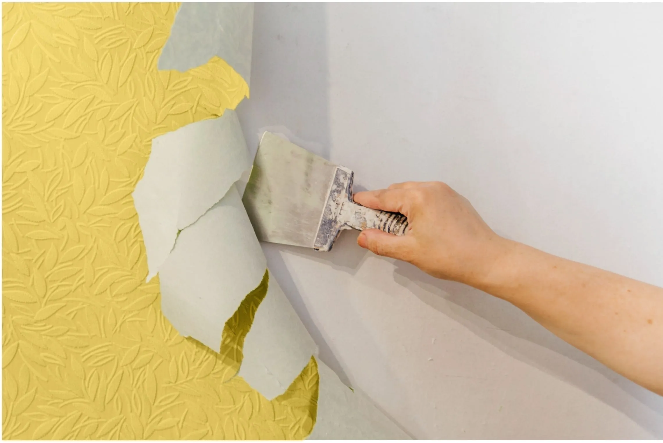 Gorgeous Remove Driveway Paint Moment Nature Gorgeous Remove Driveway Paint Moment Nature