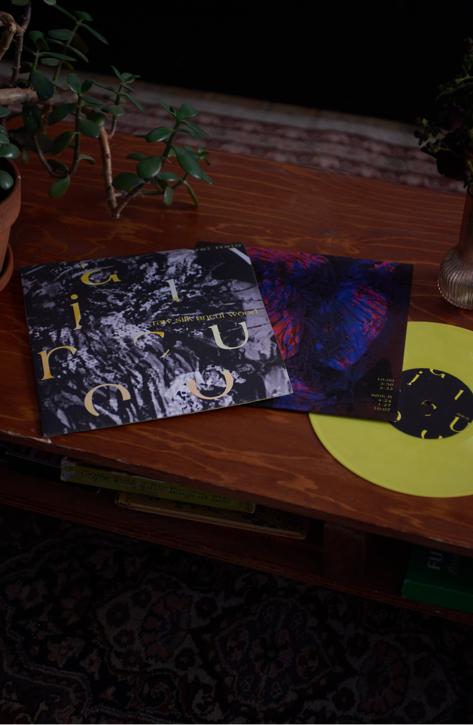 music poster, dark red background with a clay realistic heart in both blue and red with yellow type in vinyl form, with a yellow vinyl on a coffee table