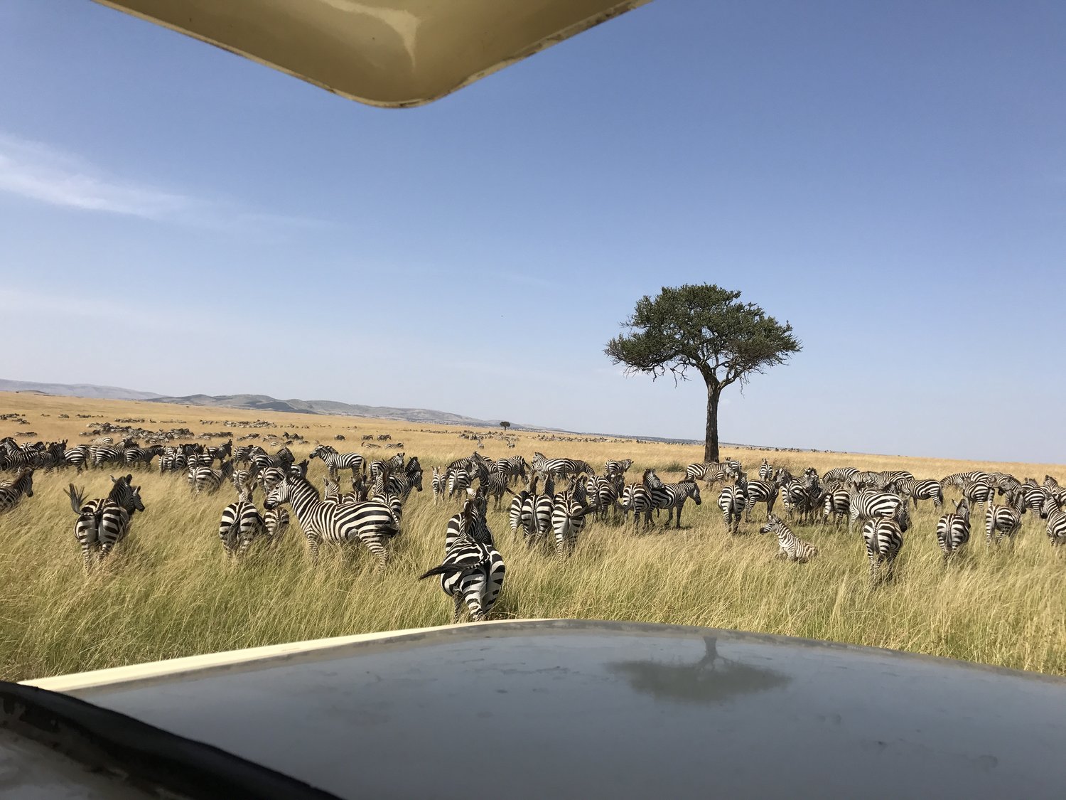 NomadHer — Is Kenya safe for solo female travelers?