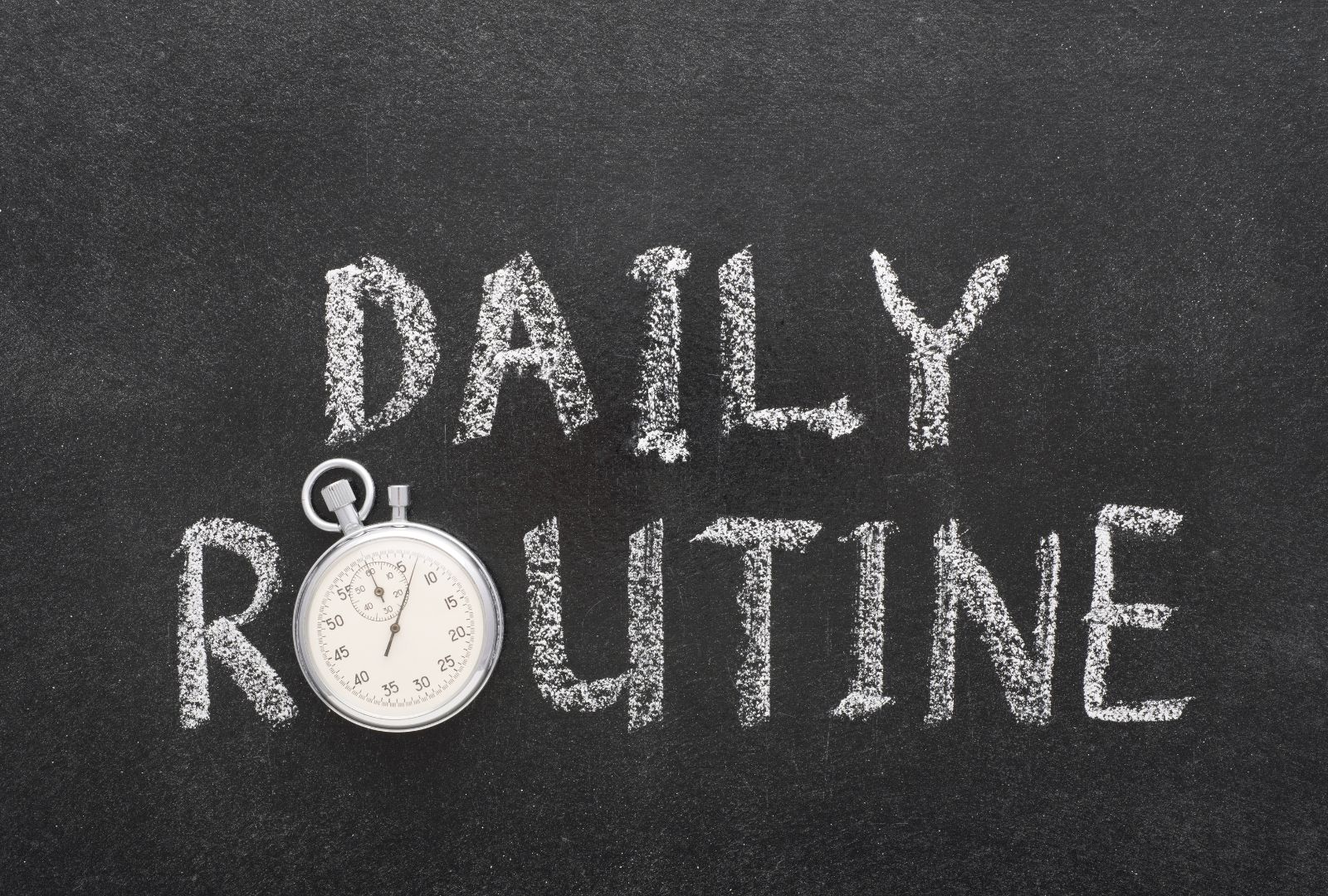 daily routine watch