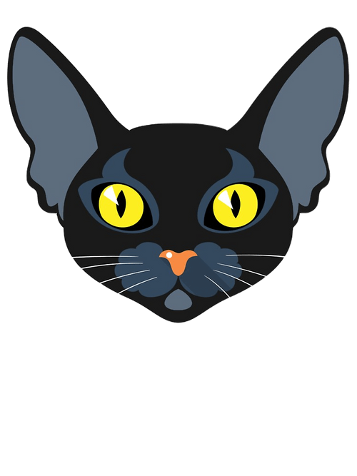 BOMBAY KITTENS FOR SALE