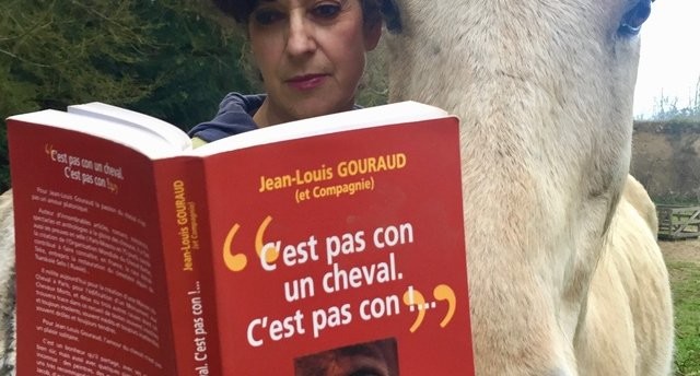 intelligence animale