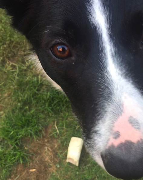 coup de soleil truffe