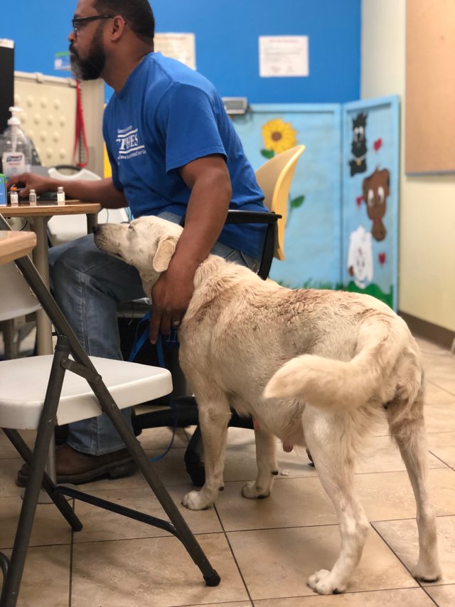 harris county refuge