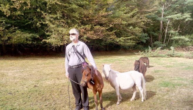 chevaux nains aveugles 