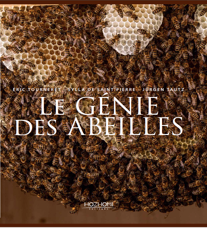 sylla abeilles