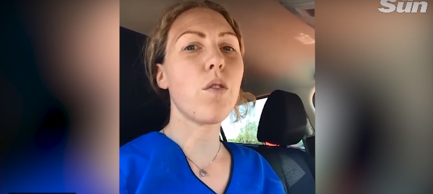 chien voiture chaleur