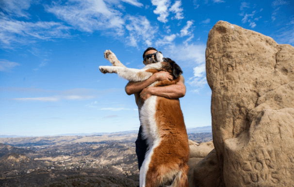 dog dad calms down st bernard