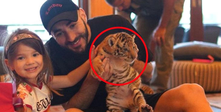 Karim Benzema posant avec un tigre