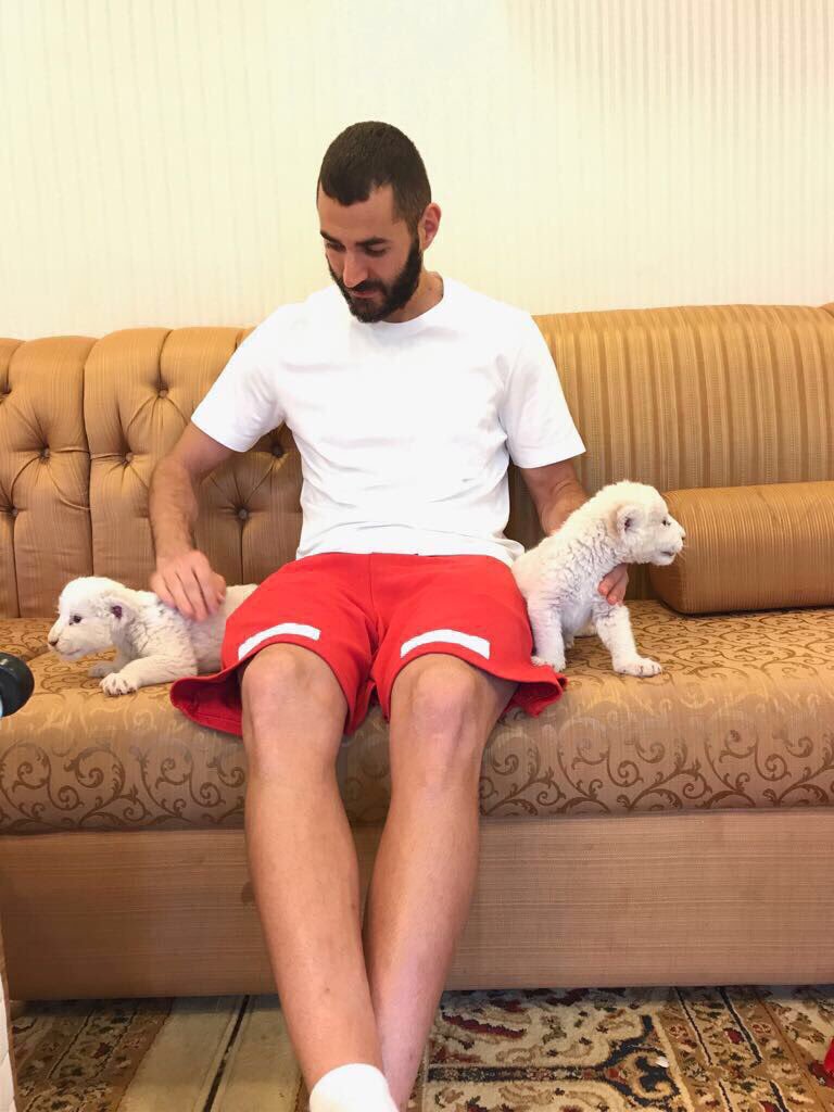 Karim Benzema avec deux lionceaux