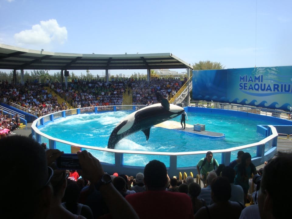 miami seaquarium