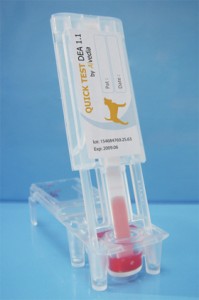 groupe sanguin chien