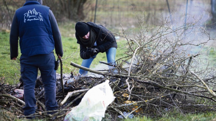 fondation brigitte bardot chiens combat
