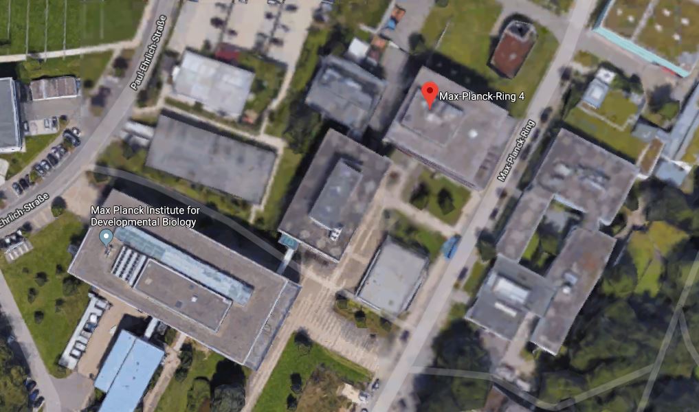 allemagne singes torture