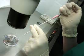 allemagne singes torture