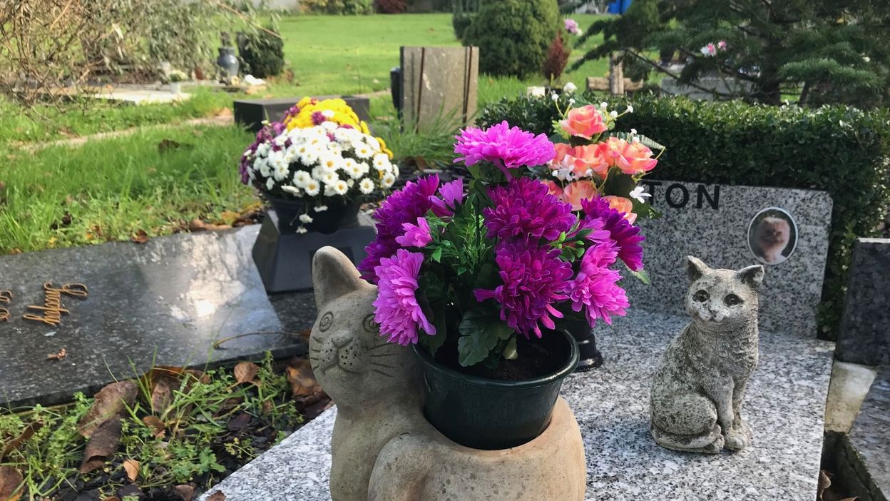 cimetière pour animaux