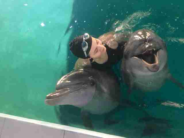 delphinarium arménie