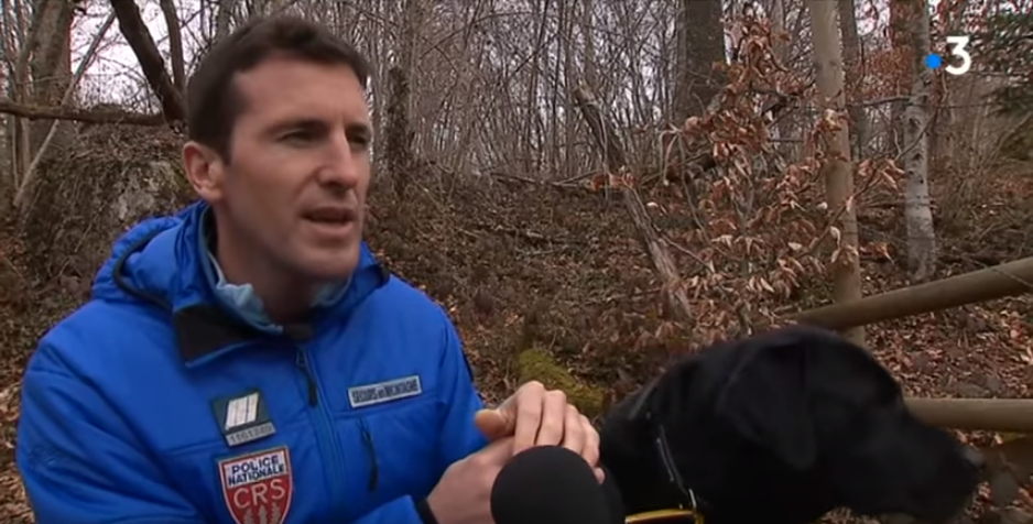 labrador sauve enfant montagne