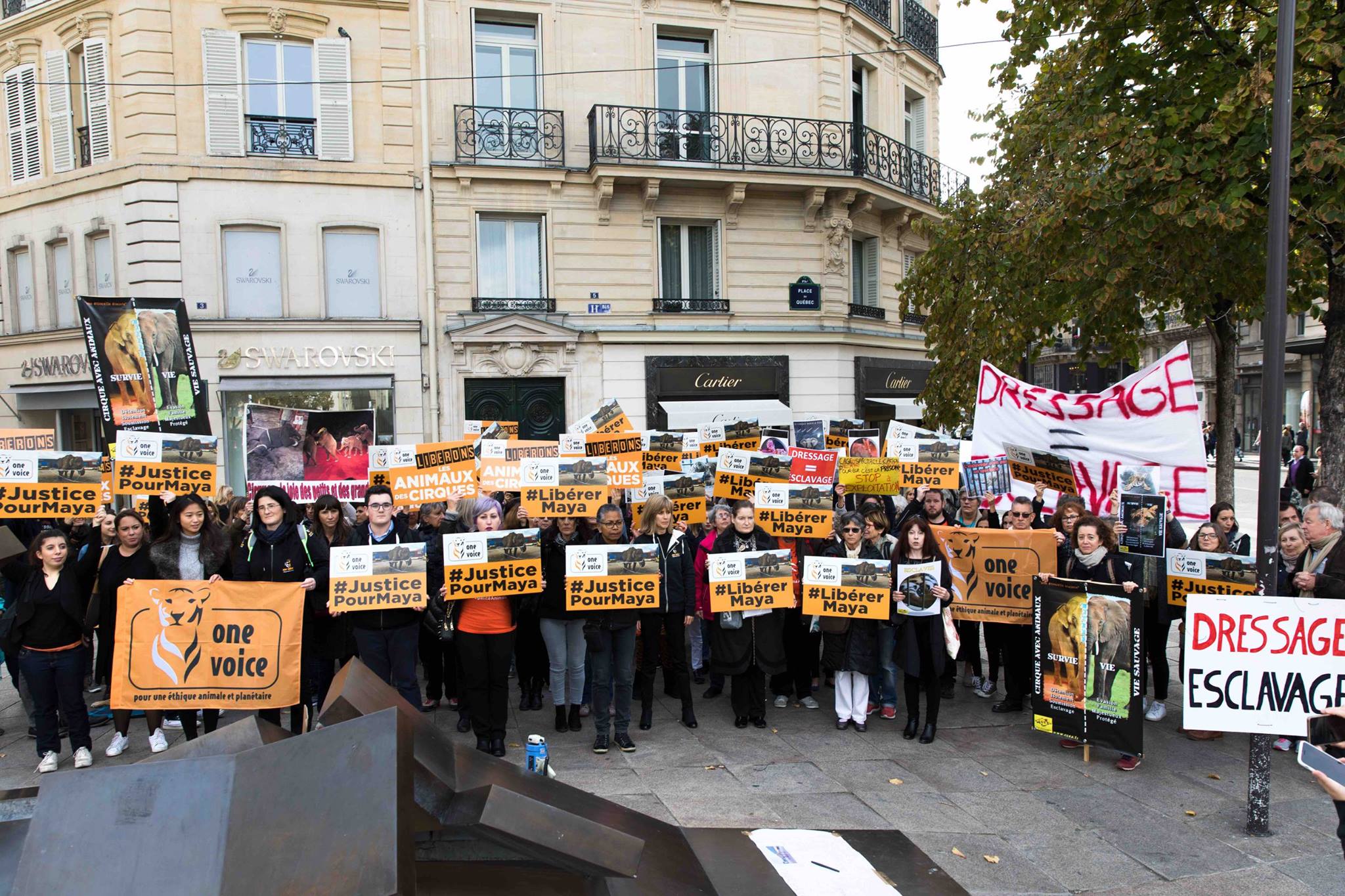 interdiction des cirques