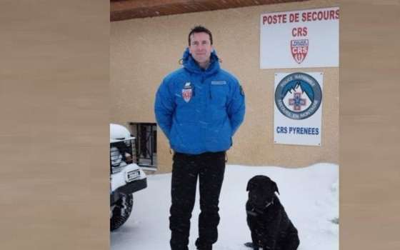 labrador sauve enfant montagne