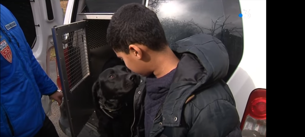 labrador sauve enfant montagne