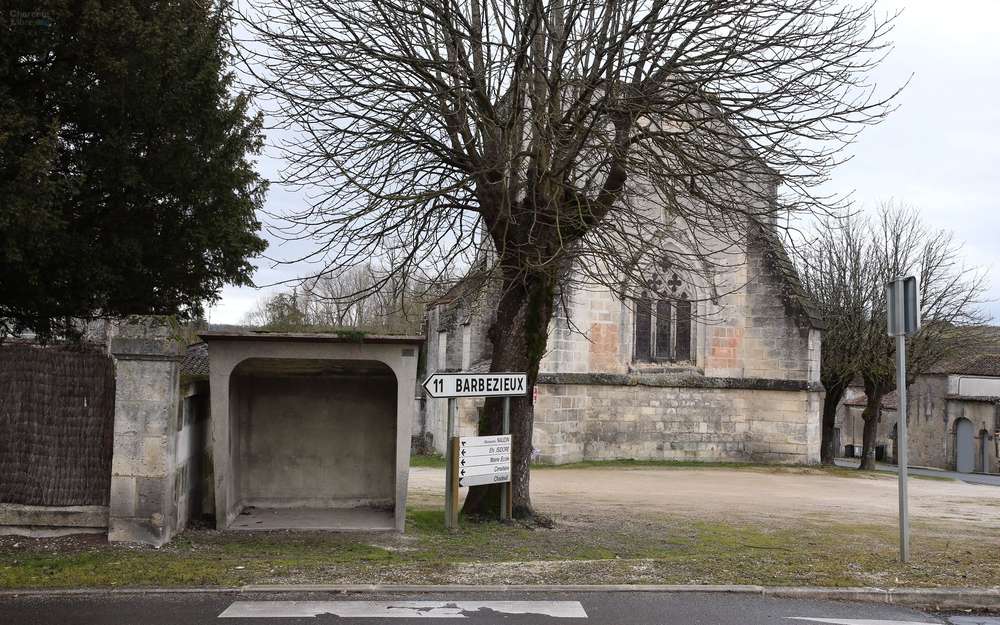 maire malaville chat