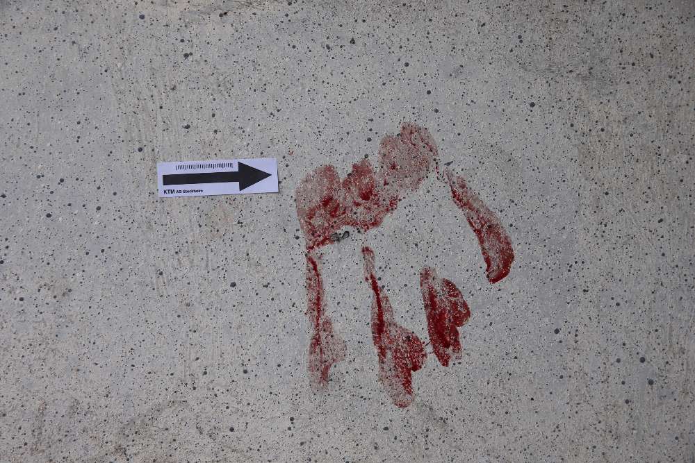 maire malaville chat