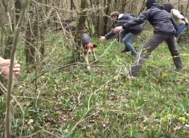 chasse à courre konbini