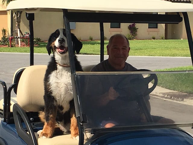 juge Michael Cicconetti avec Kasey, son chien Bouvier bernois