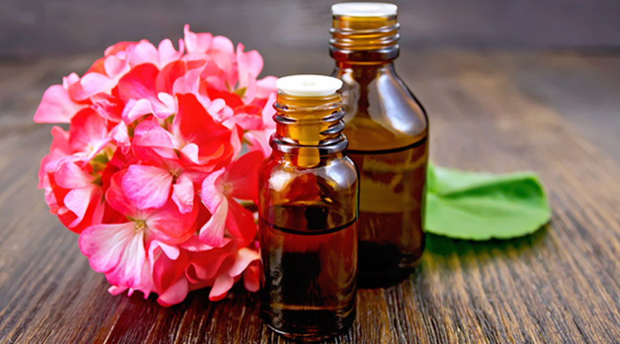 huile essentielle pour chien ou chat