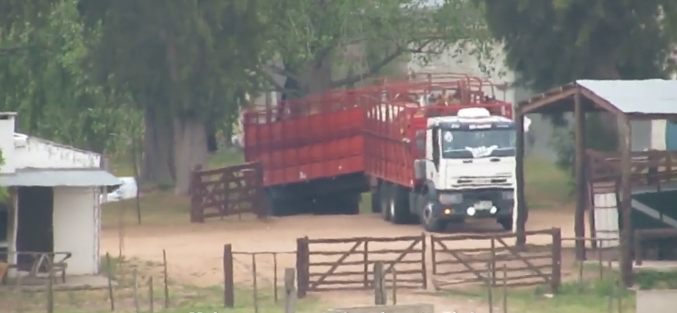 viande chevaline argentine