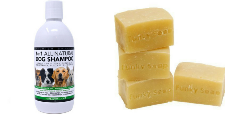 shampoing pour chien