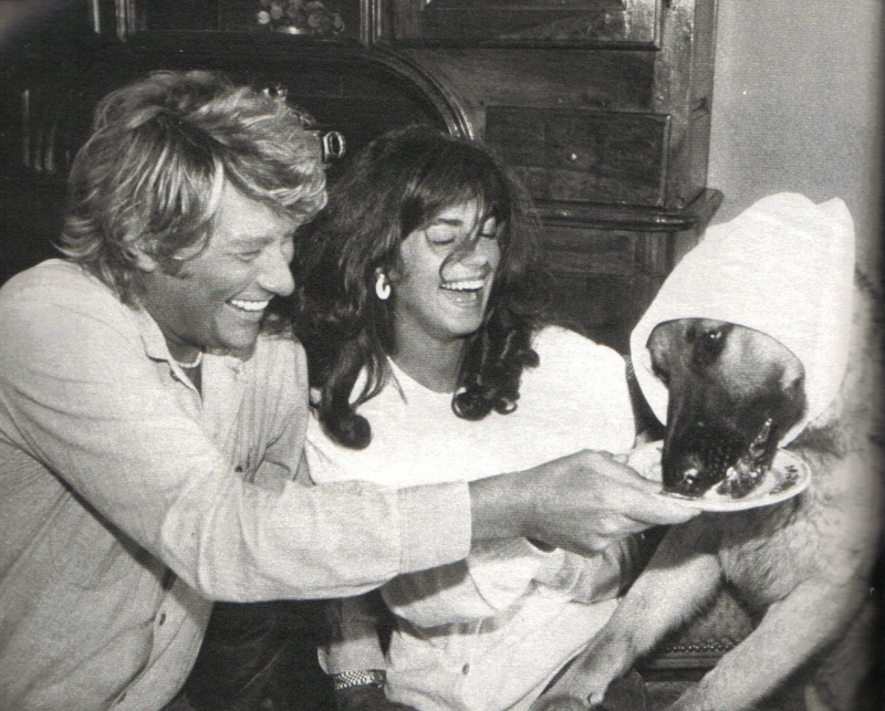 Johnny Hallyday, Patricia Viterbo et leur chien