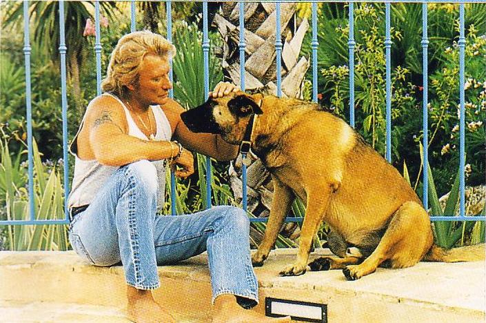 Johnny Hallyday et son chien, un Berger malinois
